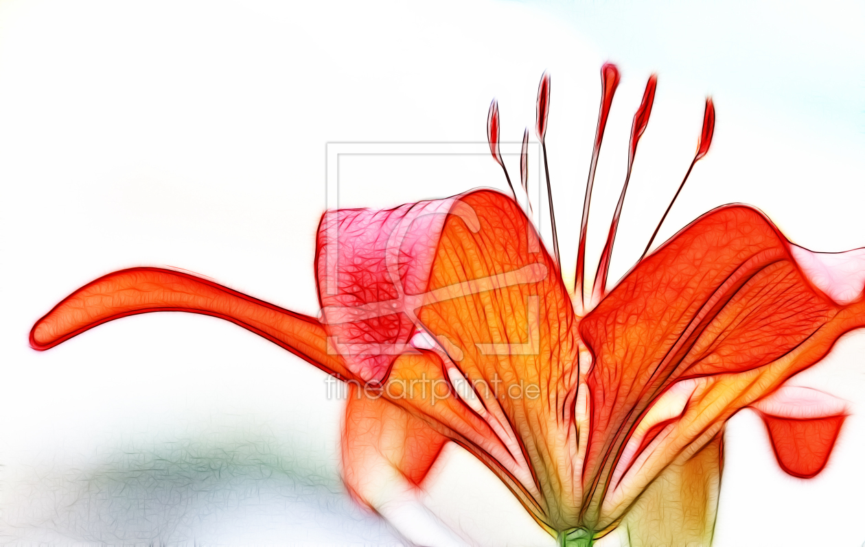 Bild-Nr.: 10027201 Lilienzauber erstellt von Renate Knapp