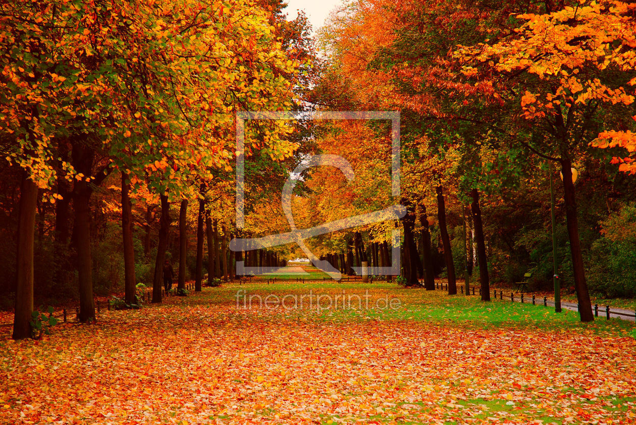 Bild-Nr.: 10032447 Im Park Bild-Nr.: 10032447 Im Park erstellt von Atteloi