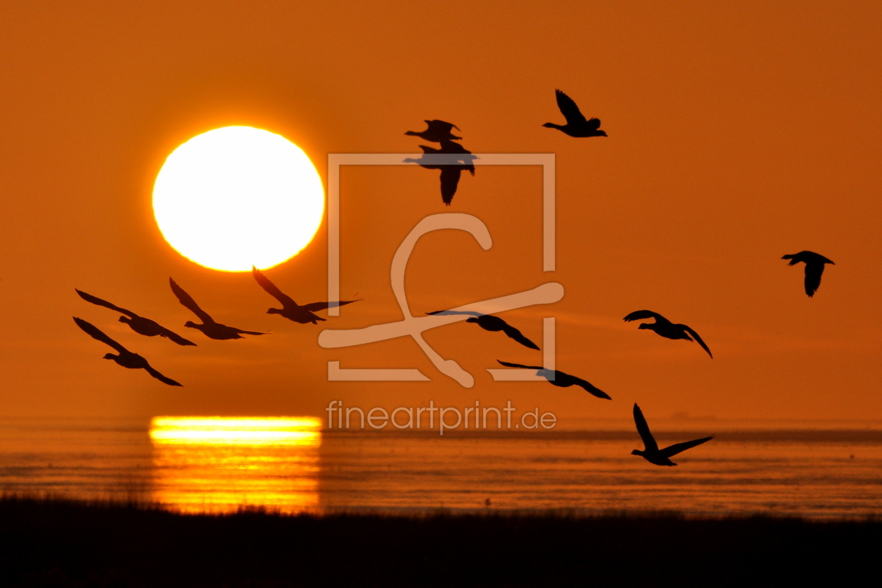 Bild-Nr.: 10033015 Sonnenuntergang erstellt von Ostfriese