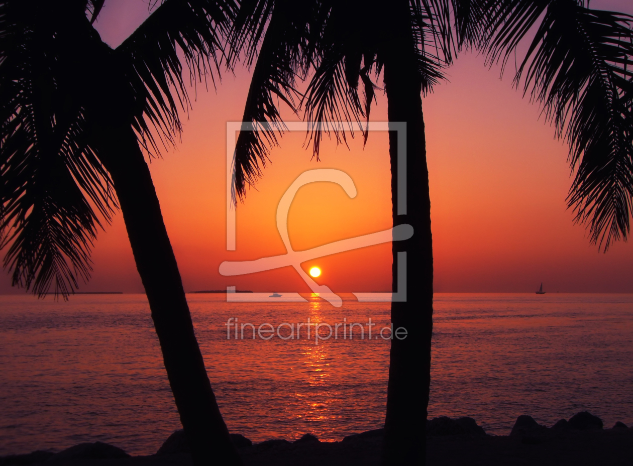 Bild-Nr.: 10038387 Sonne, Meer und Palmen erstellt von Timo Geble