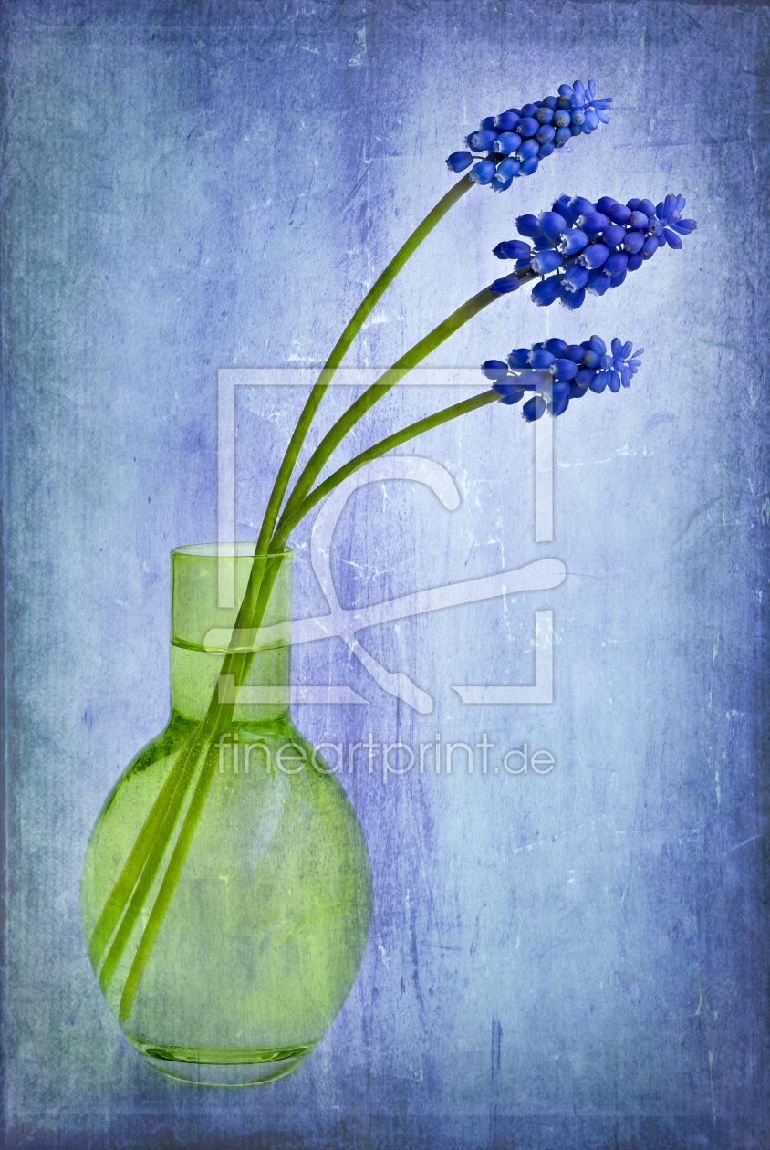 Bild-Nr.: 10040465 trio Bild-Nr.: 10040465 trio erstellt von magentablue