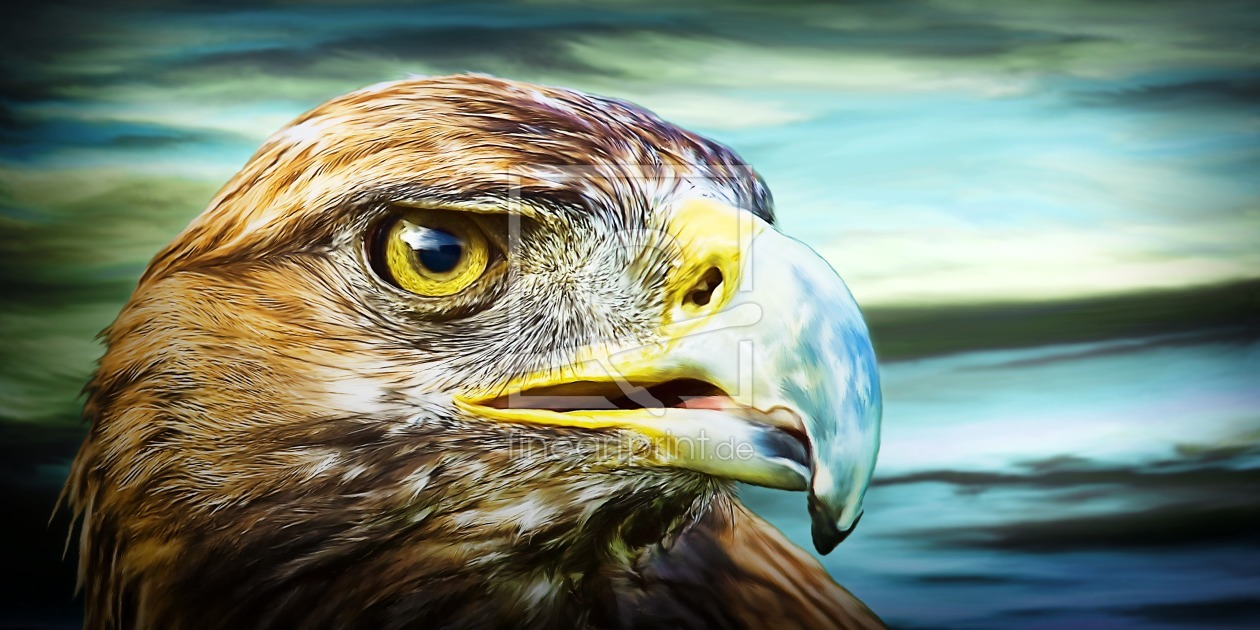 Bild-Nr.: 10043433 Eagle (DigiPaint) erstellt von PAPARAZZO-Fotokunst
