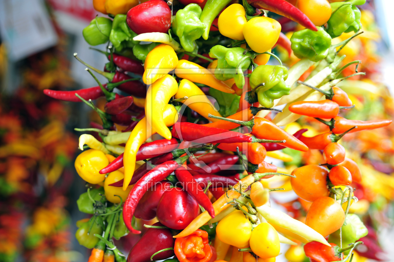 Bild-Nr.: 10043925 paprika erstellt von ralf werner froelich