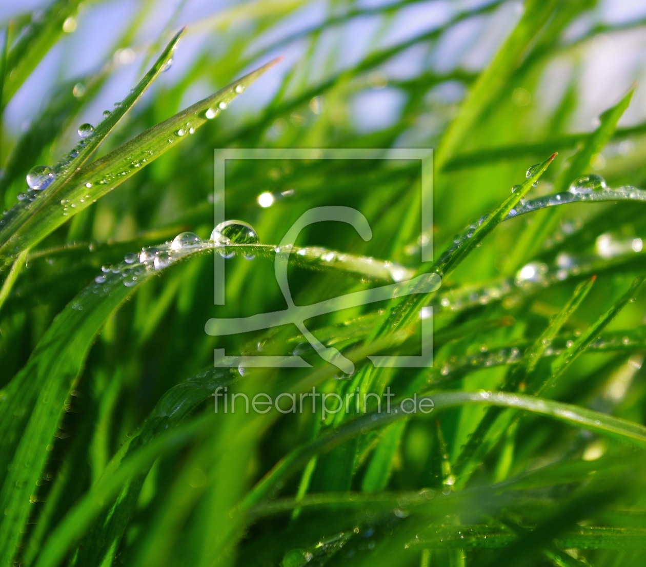 Bild-Nr.: 10044957 Grasgrün erstellt von Tanja Riedel