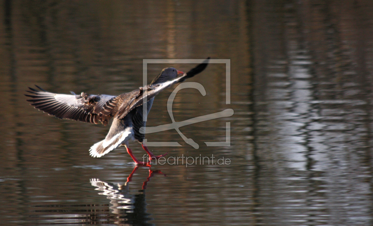 Bild-Nr.: 10049737 soft landing  erstellt von Stephanie Stephanie Dannecker