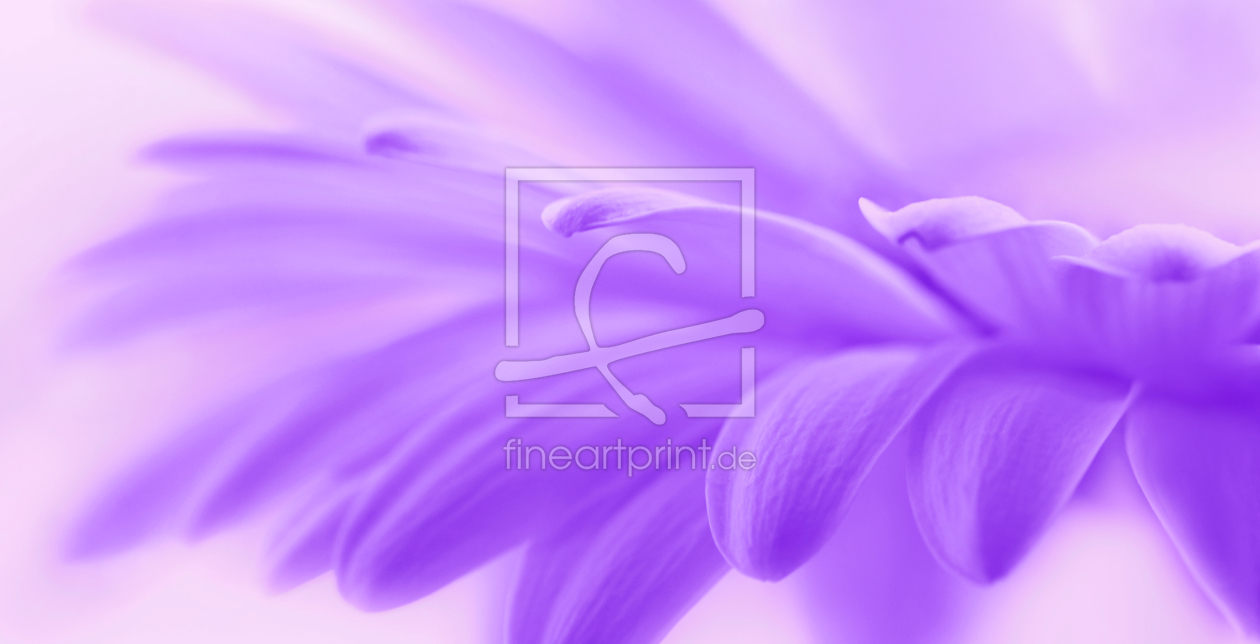 Bild-Nr.: 10052929 violett erstellt von Atteloi