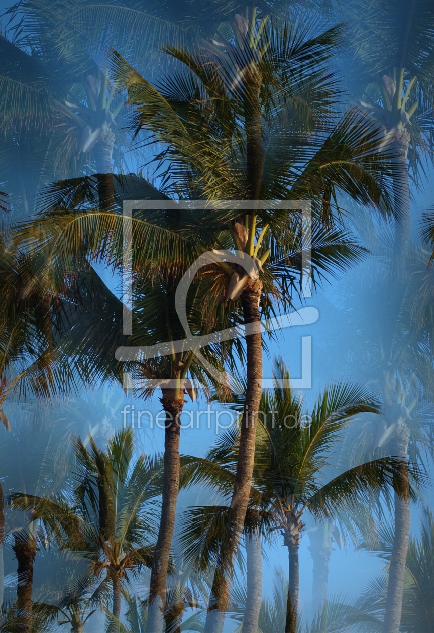 Bild-Nr.: 10053285 i like palm trees erstellt von Michael Michael Russ