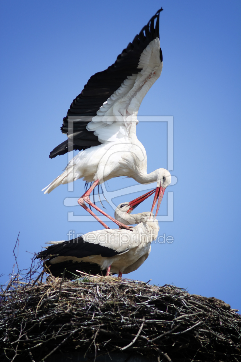 Bild-Nr.: 10057773 Frühlingsgefühle erstellt von FotoDeHRO