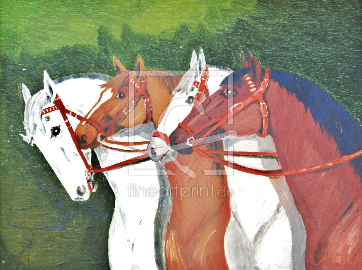 Bild-Nr.: 10059211 Pferde-Portraits erstellt von CAPRICORNVS-DESIGN