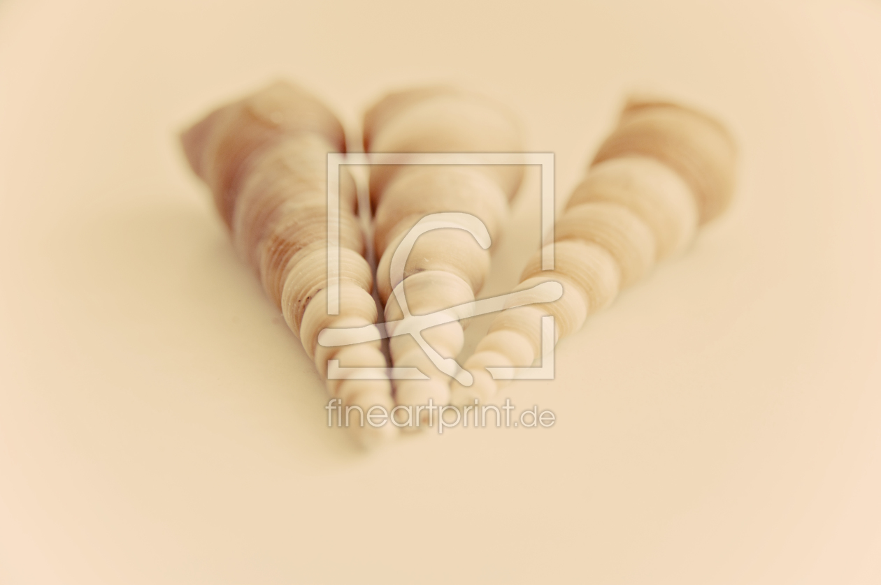 Bild-Nr.: 10059887 Die 3 Muscheln erstellt von StefanieWaltermann