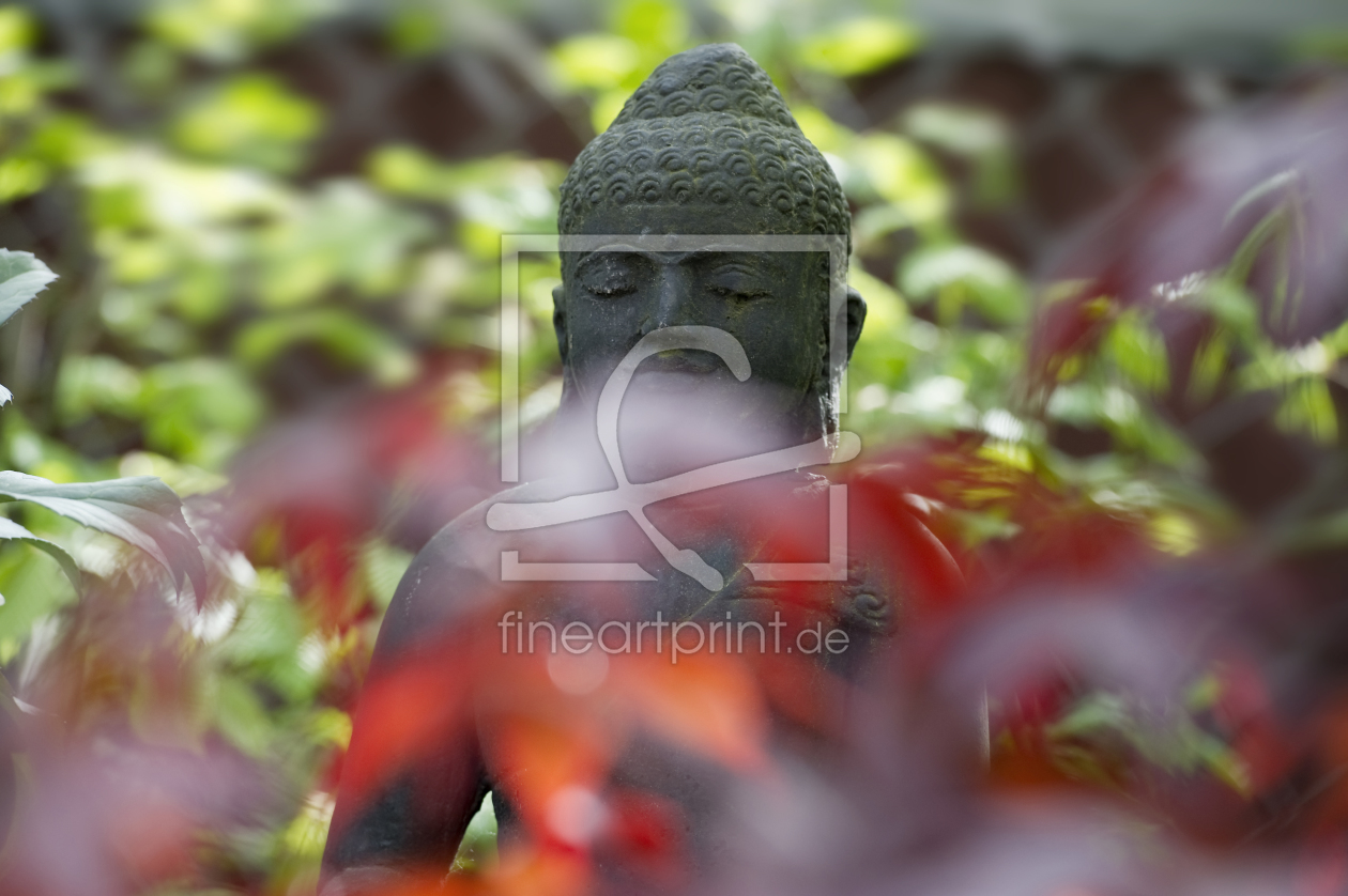 Bild-Nr.: 10062387 Buddha 1 erstellt von danielschoenen