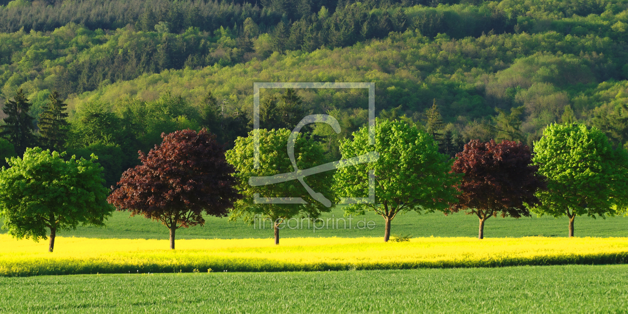 Bild-Nr.: 10066073 Frühlingsfarben erstellt von Taunusbilder