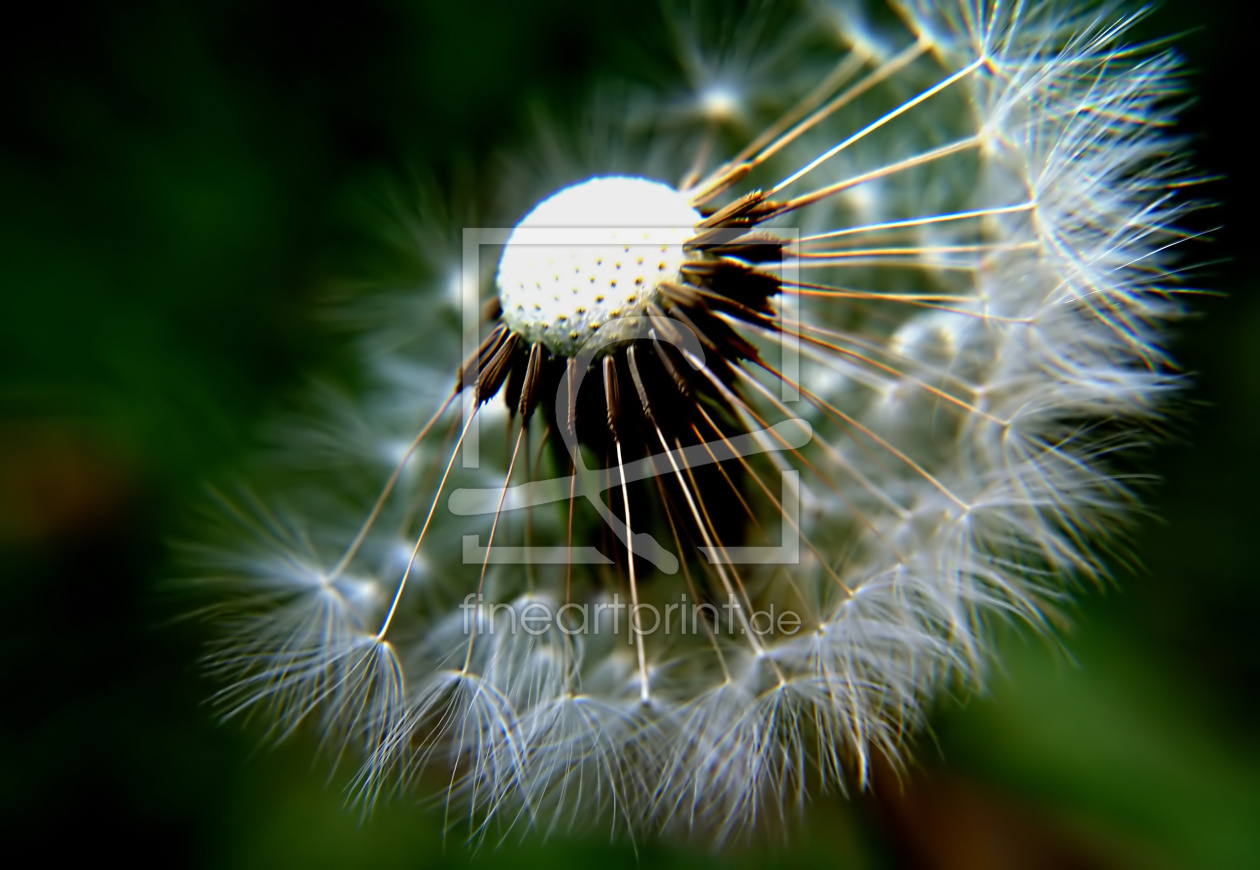 Bild-Nr.: 10070263 Karussell erstellt von youhaveadream