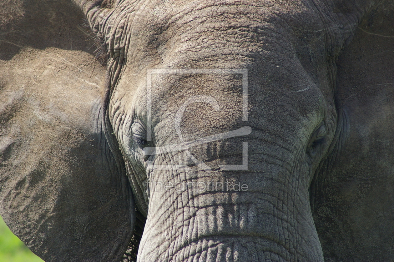 Bild-Nr.: 10073277 Elefant erstellt von bookkeeper