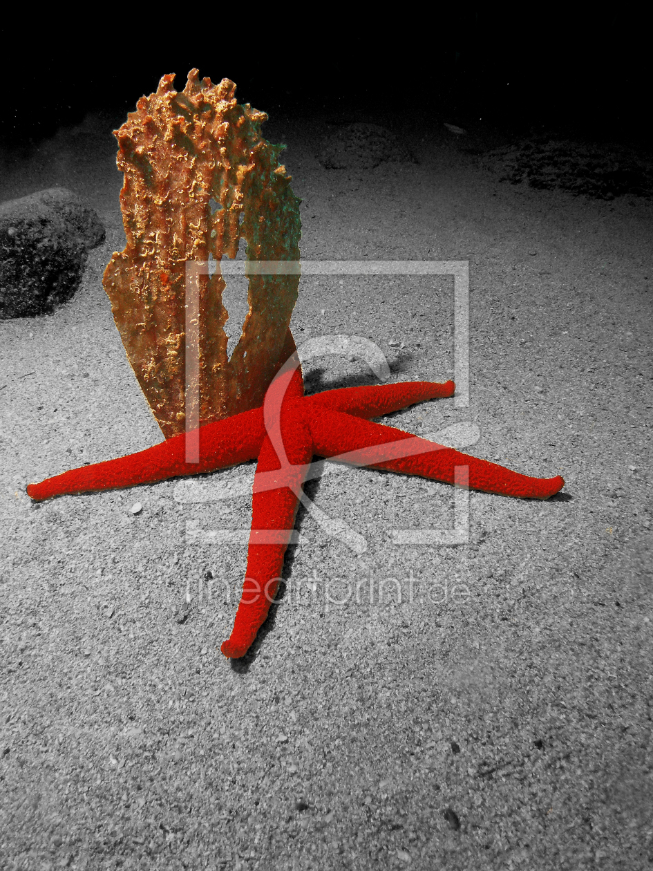 Bild-Nr.: 10076509 Starlight erstellt von deep007