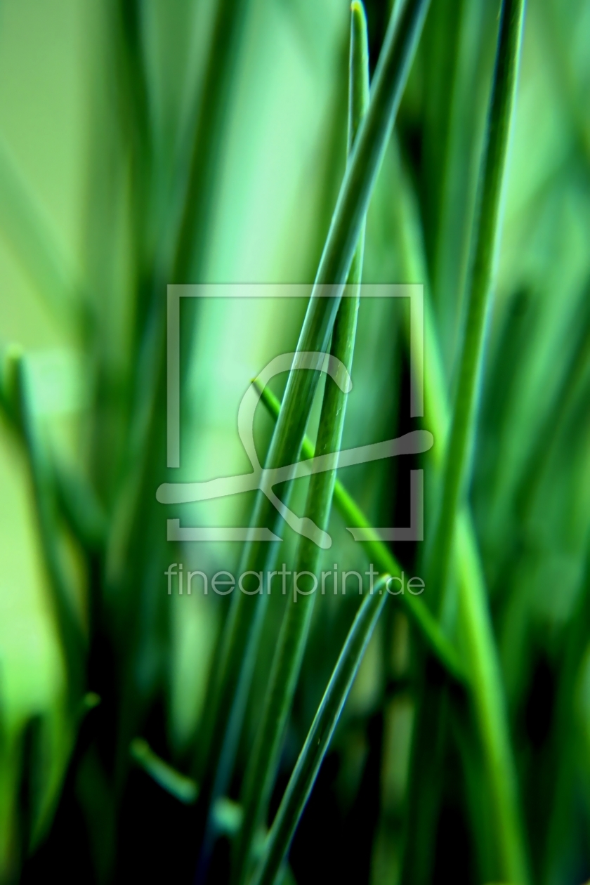 Bild-Nr.: 10077913 Green erstellt von youhaveadream