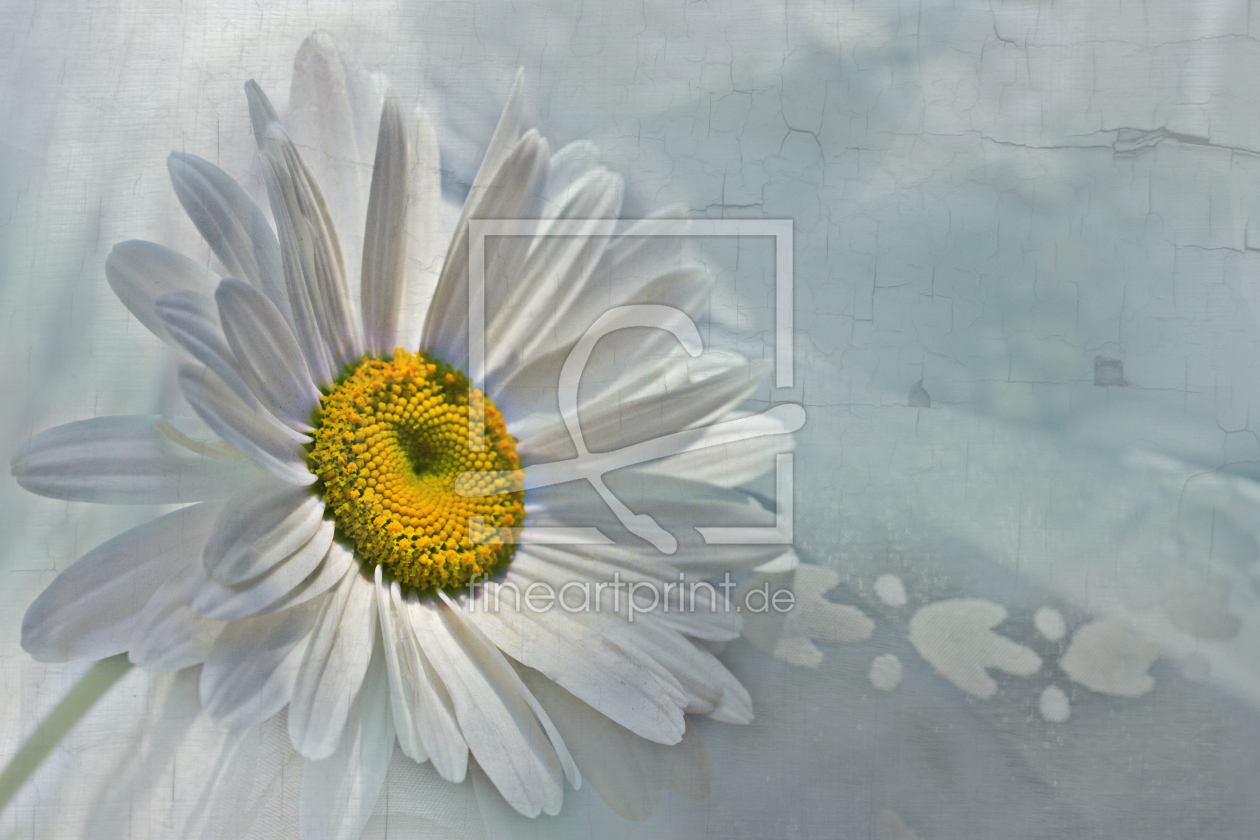 Bild-Nr.: 10078489 i have a dream Bild-Nr.: 10078489 i have a dream erstellt von photoArt-Brigitte