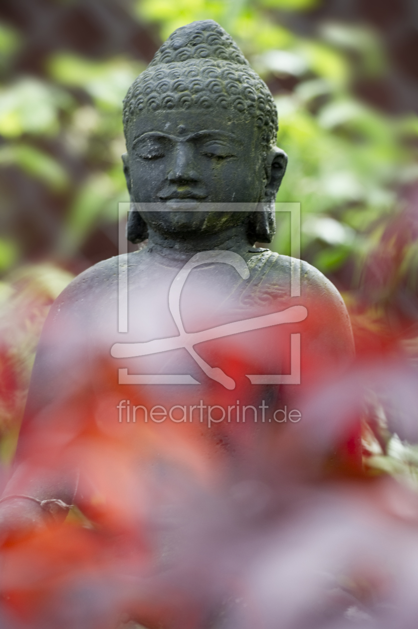 Bild-Nr.: 10079261 Buddha 2 erstellt von danielschoenen