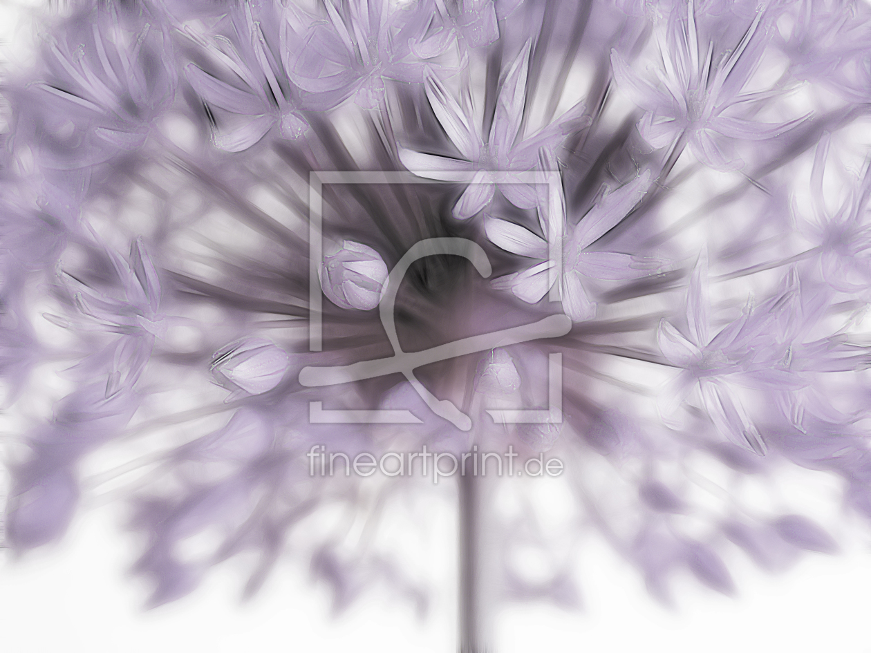 Bild-Nr.: 10085581 Allium II erstellt von Gisela Baiker