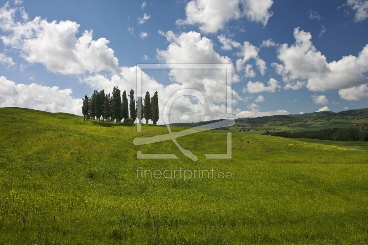 Bild-Nr.: 10086267 toscana, impression erstellt von rokla