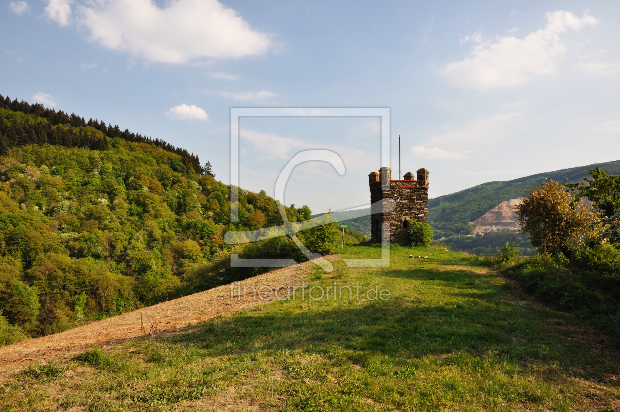 Bild-Nr.: 10086927 Ruine Schöneck 001 erstellt von Erhard Hess