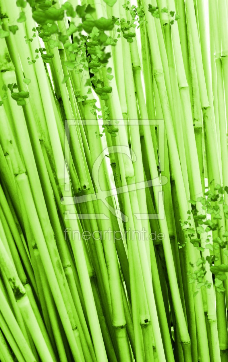 Bild-Nr.: 10088245 Fresh Bamboo erstellt von M.A. Ziehr