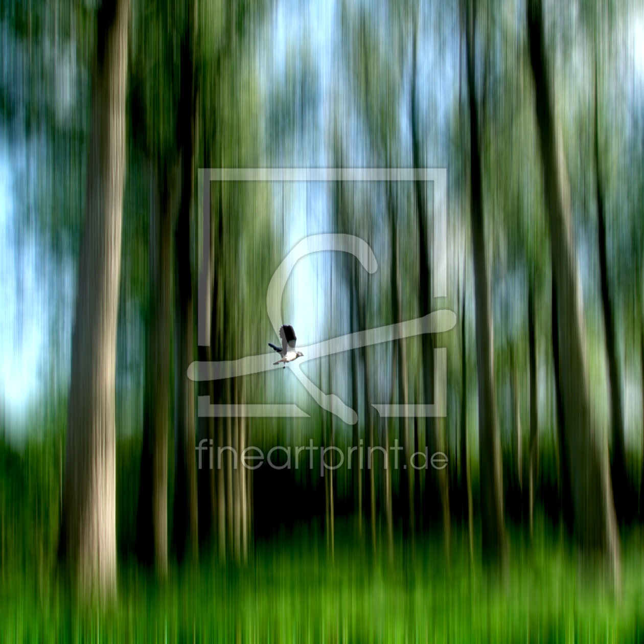 Bild-Nr.: 10092606 Der Waldvogel Bild-Nr.: 10092606 Der Waldvogel erstellt von yammay