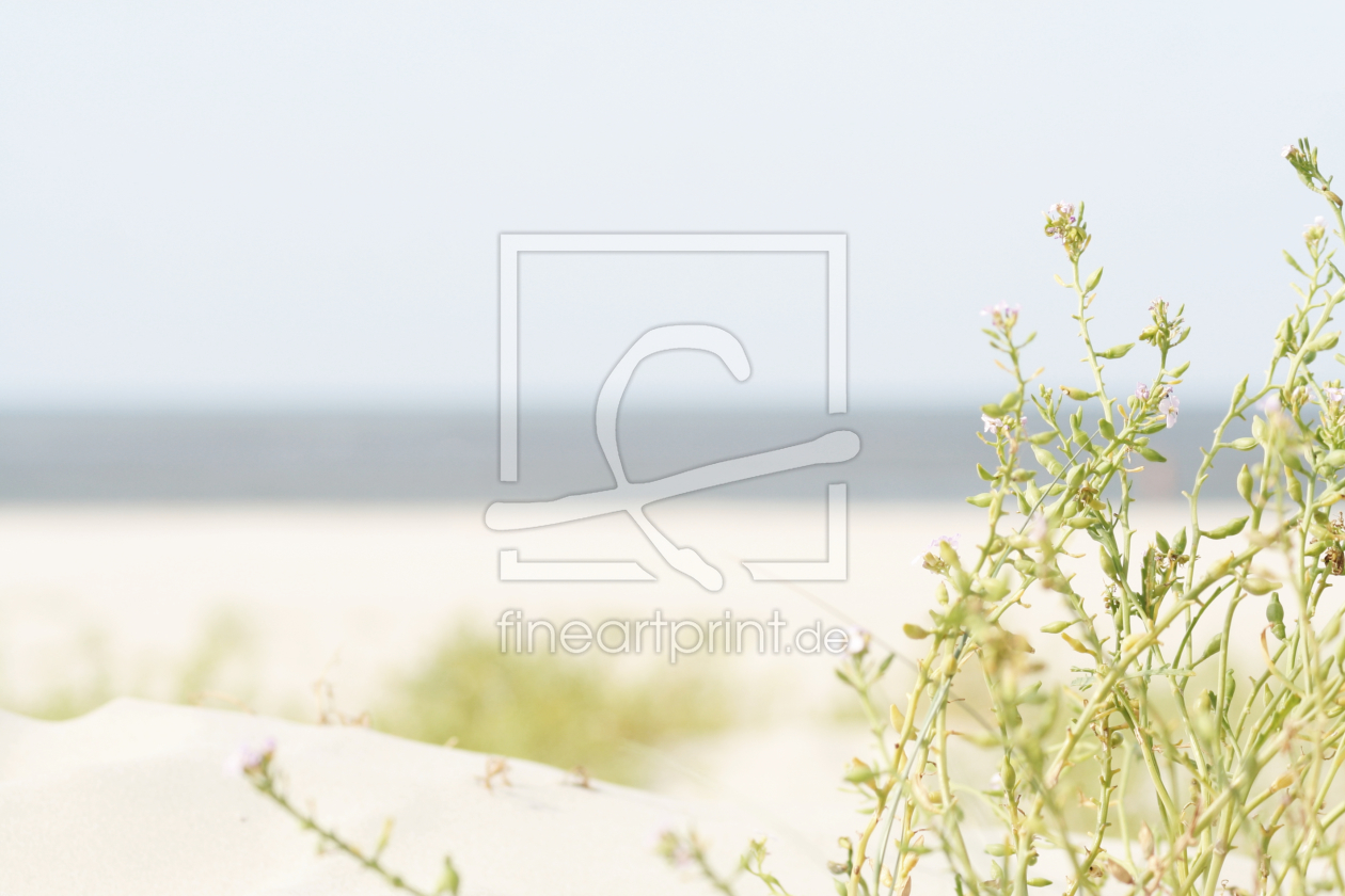 Bild-Nr.: 10092626 Norderney Impression erstellt von Galerie-Fotoeffekt