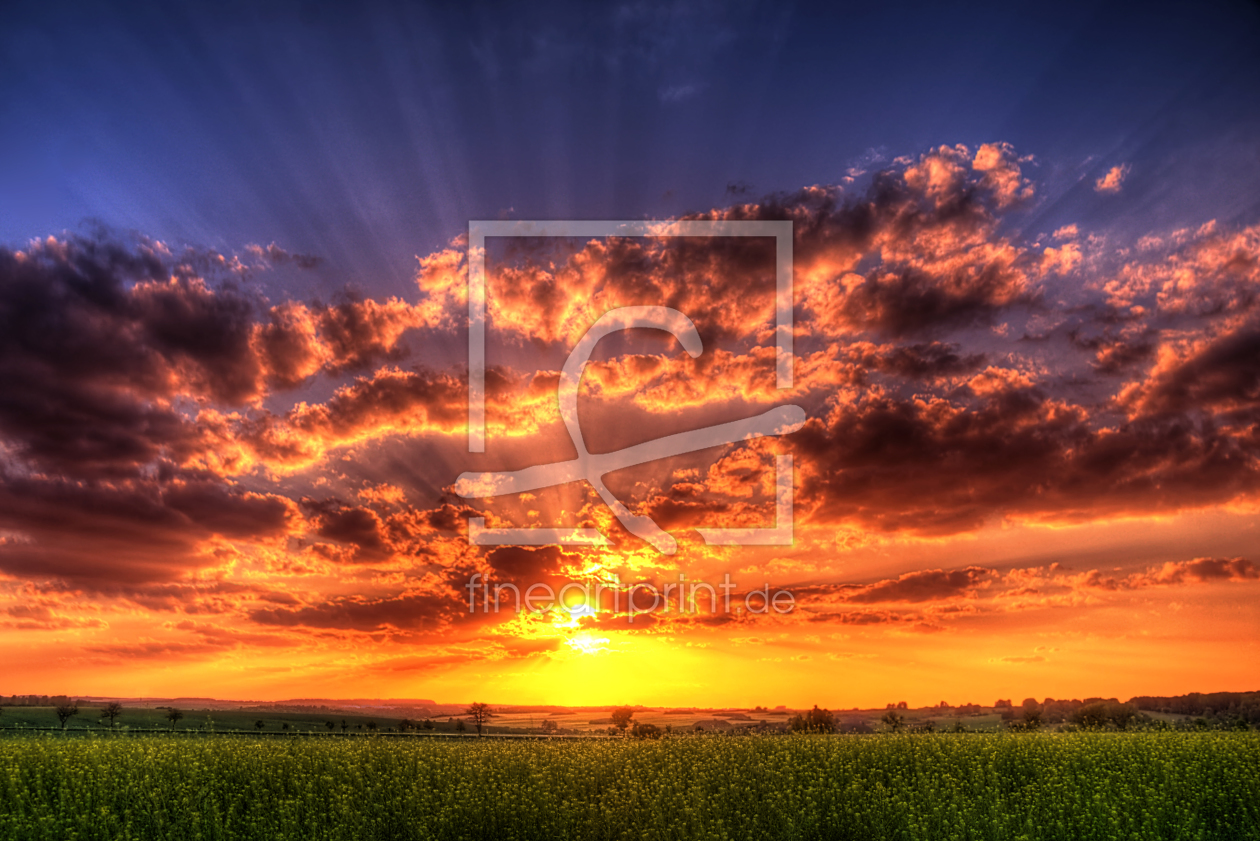 Bild-Nr.: 10092692 rays of light Bild-Nr.: 10092692 rays of light erstellt von Steffen Gierok
