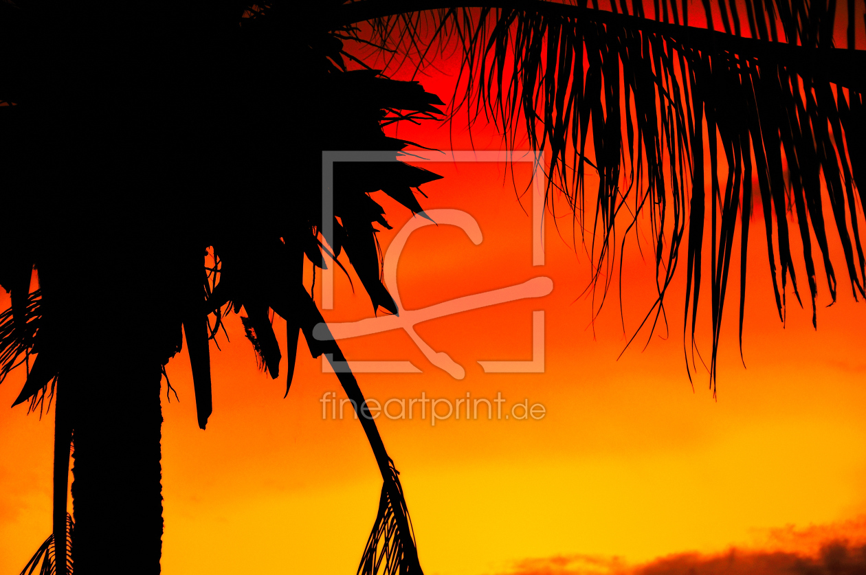 Bild-Nr.: 10094190 Silhouette einer Kokospalme erstellt von Colin