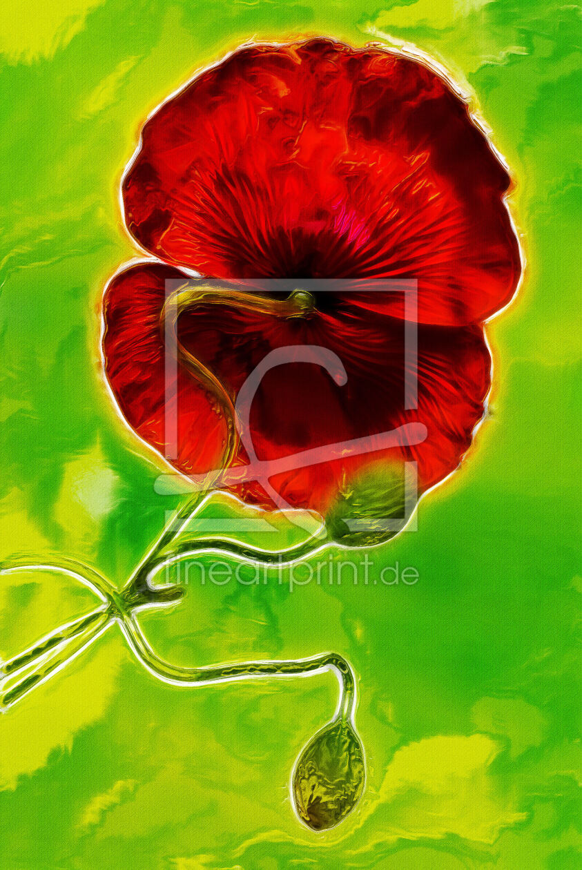 Bild-Nr.: 10094984 Mohnblume erstellt von Atteloi