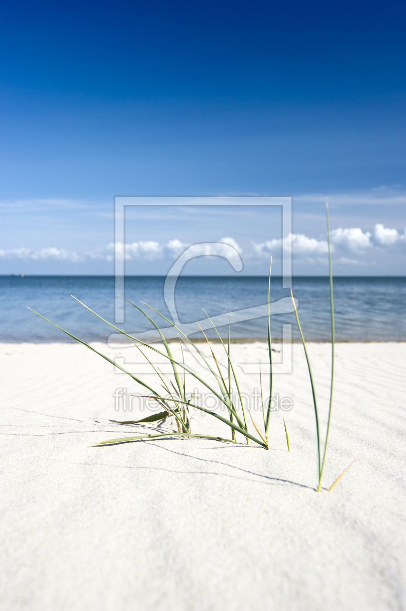 Bild-Nr.: 10095632 Sylt #19 Bild-Nr.: 10095632 Sylt #19 erstellt von danielschoenen