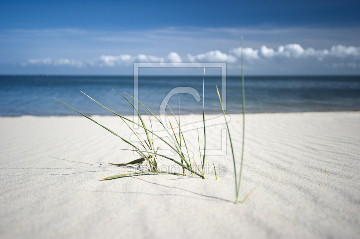 Bild-Nr.: 10096820 Sylt #23 erstellt von danielschoenen