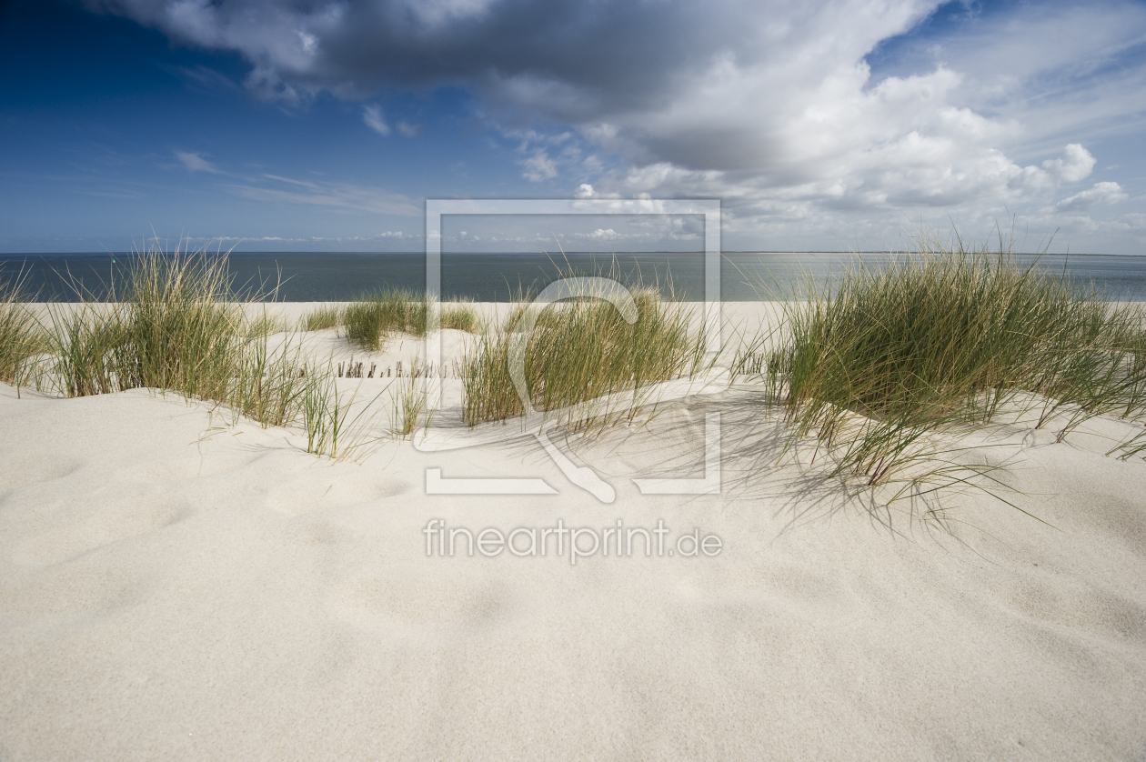 Bild-Nr.: 10101242 Sylt #32 Bild-Nr.: 10101242 Sylt #32 erstellt von danielschoenen