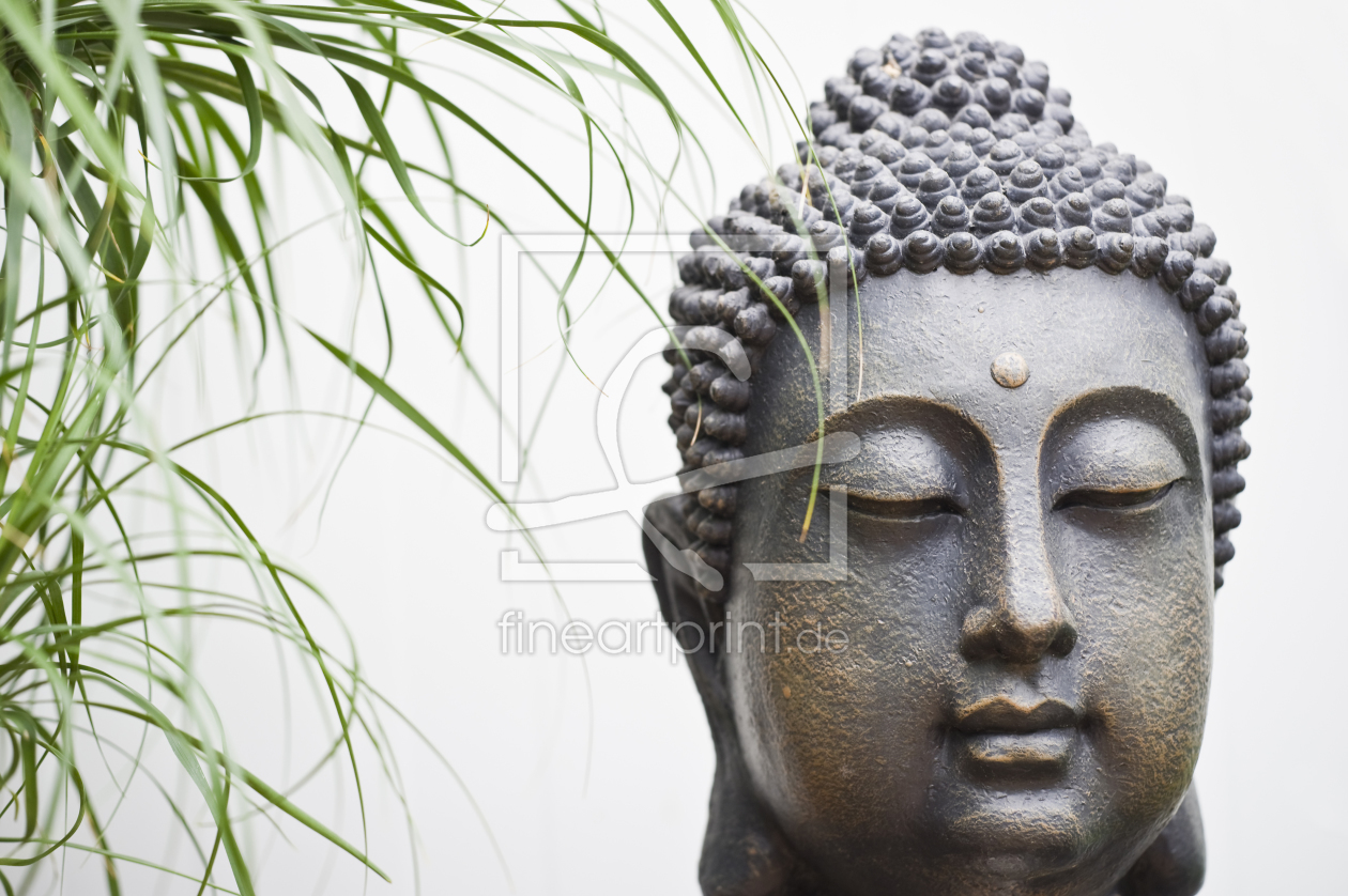 Bild-Nr.: 10108512 Buddha #2 erstellt von danielschoenen