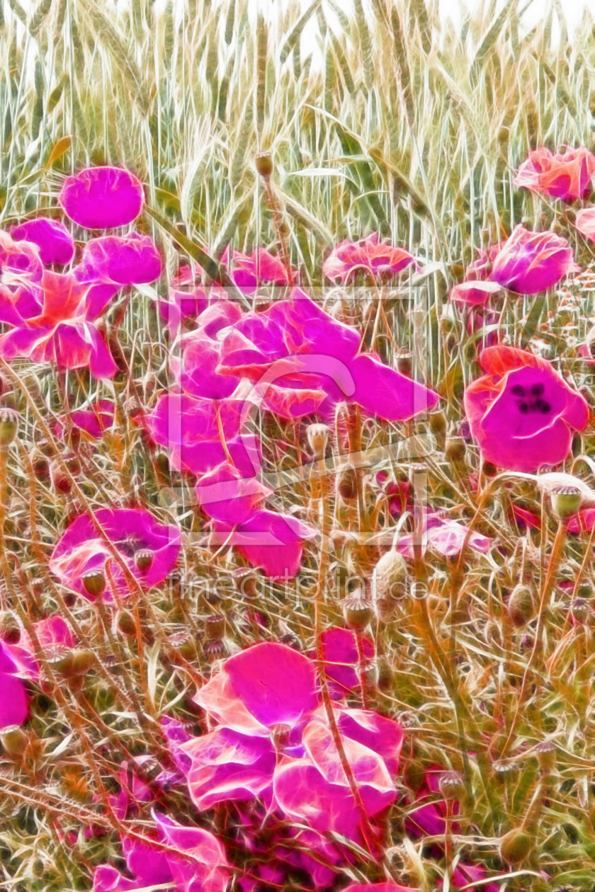 Bild-Nr.: 10109548 Mohn Impression erstellt von Galerie-Fotoeffekt