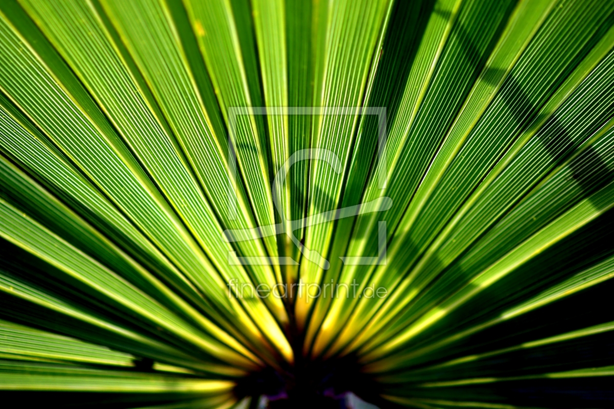 Bild-Nr.: 10110042 Green Bild-Nr.: 10110042 Green erstellt von youhaveadream