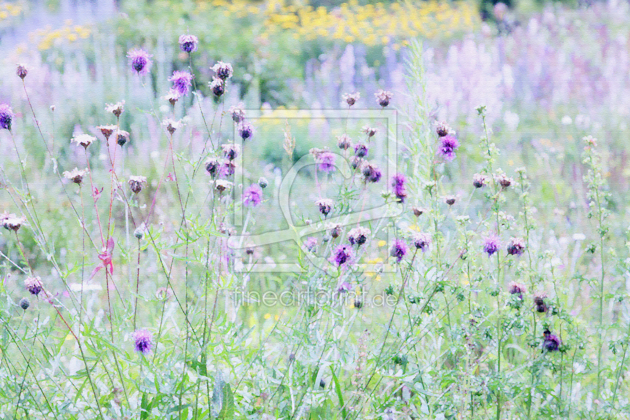 Bild-Nr.: 10114278 Wildblumenwiese erstellt von Renate Knapp