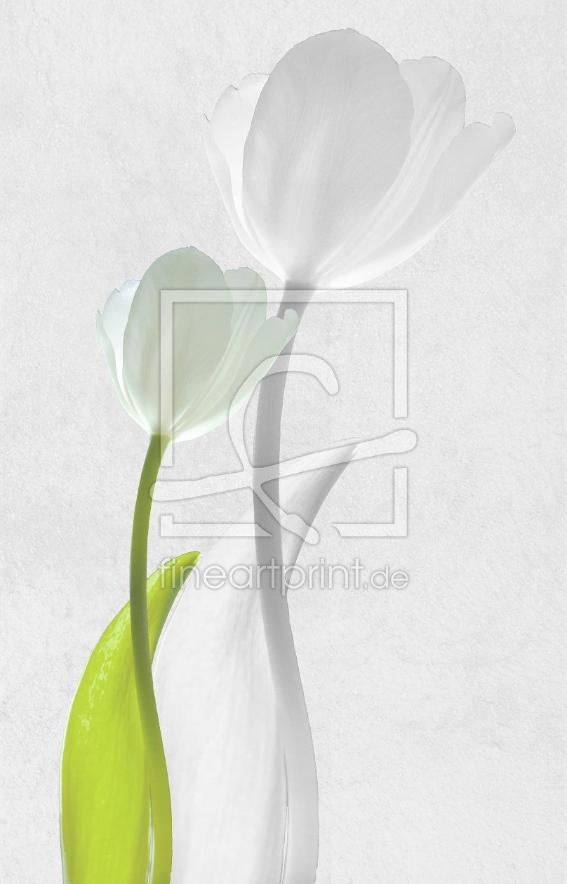 Bild-Nr.: 10115896 Tulip erstellt von Gisela Baiker