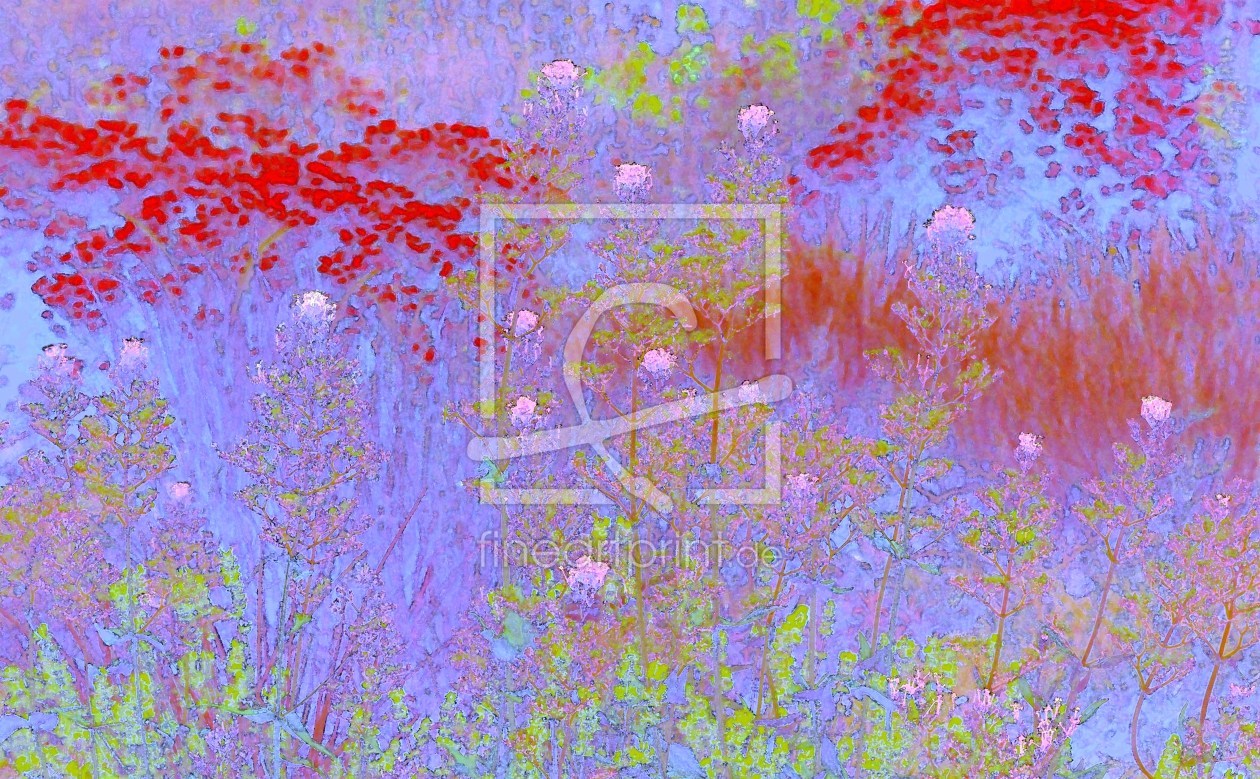 Bild-Nr.: 10123940 Blumenwiese Abstrakt erstellt von Renate Knapp