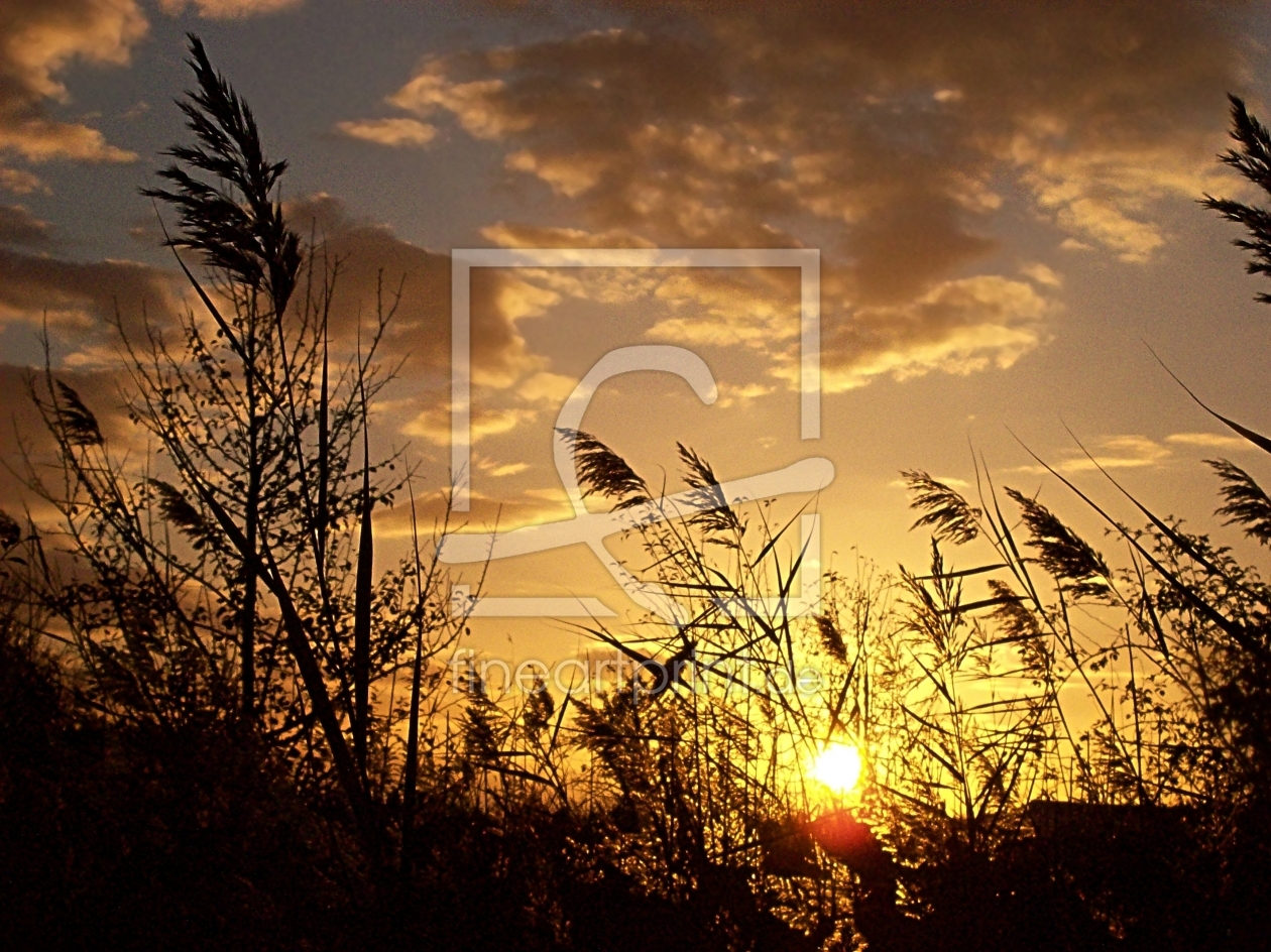 Bild-Nr.: 10126444 Abendhimmel erstellt von Marion227