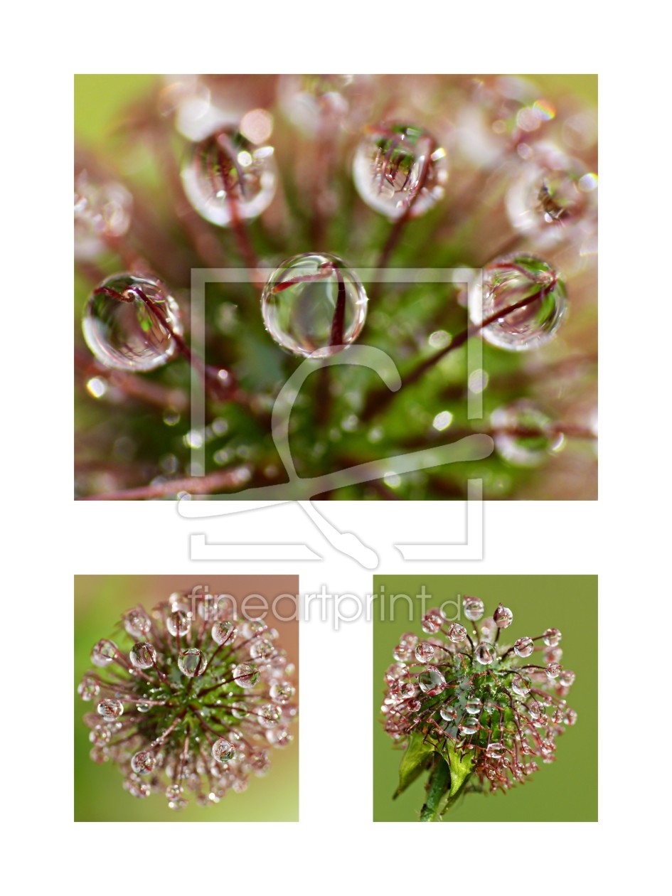 Bild-Nr.: 10126548 Wassertropfen  Collage erstellt von gabii40