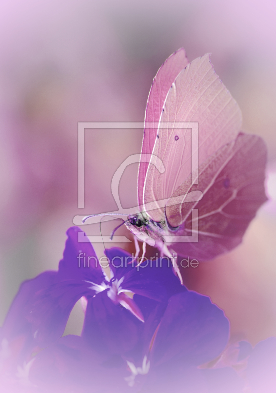 Bild-Nr.: 10133304 Butterfly erstellt von Atteloi