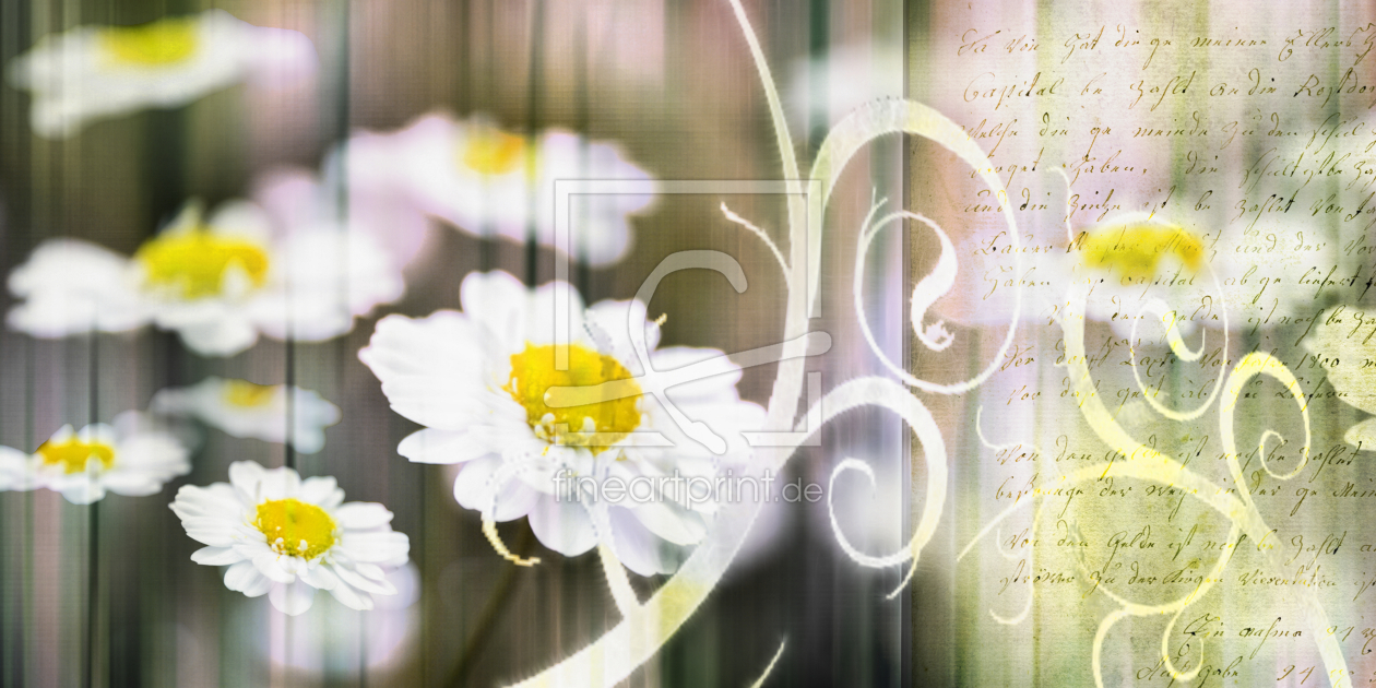 Bild-Nr.: 10141234 Floral Collage erstellt von Galerie-Fotoeffekt