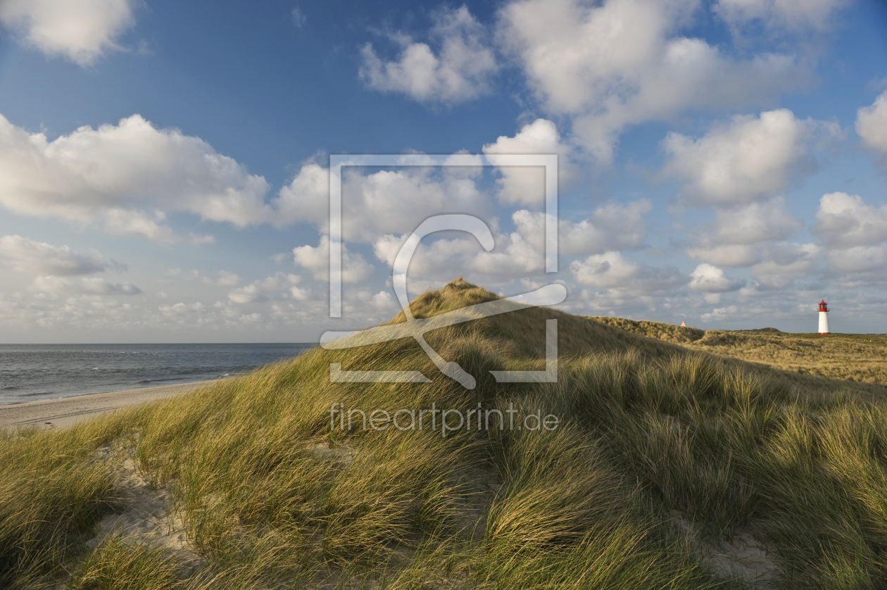 Bild-Nr.: 10142370 Sylt #54 erstellt von danielschoenen