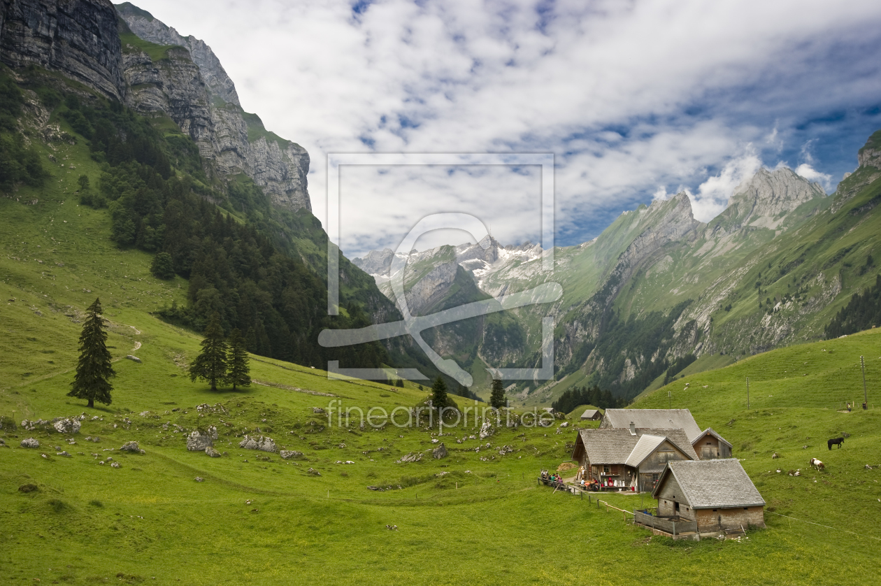 Bild-Nr.: 10144546 neulich auf der Alm erstellt von danielschoenen