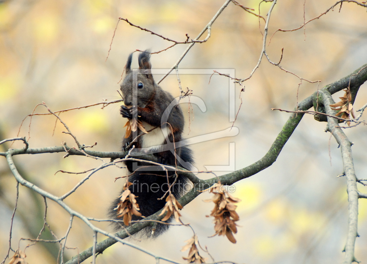 Bild-Nr.: 10147112 Mahlzeit erstellt von GUGIGEI