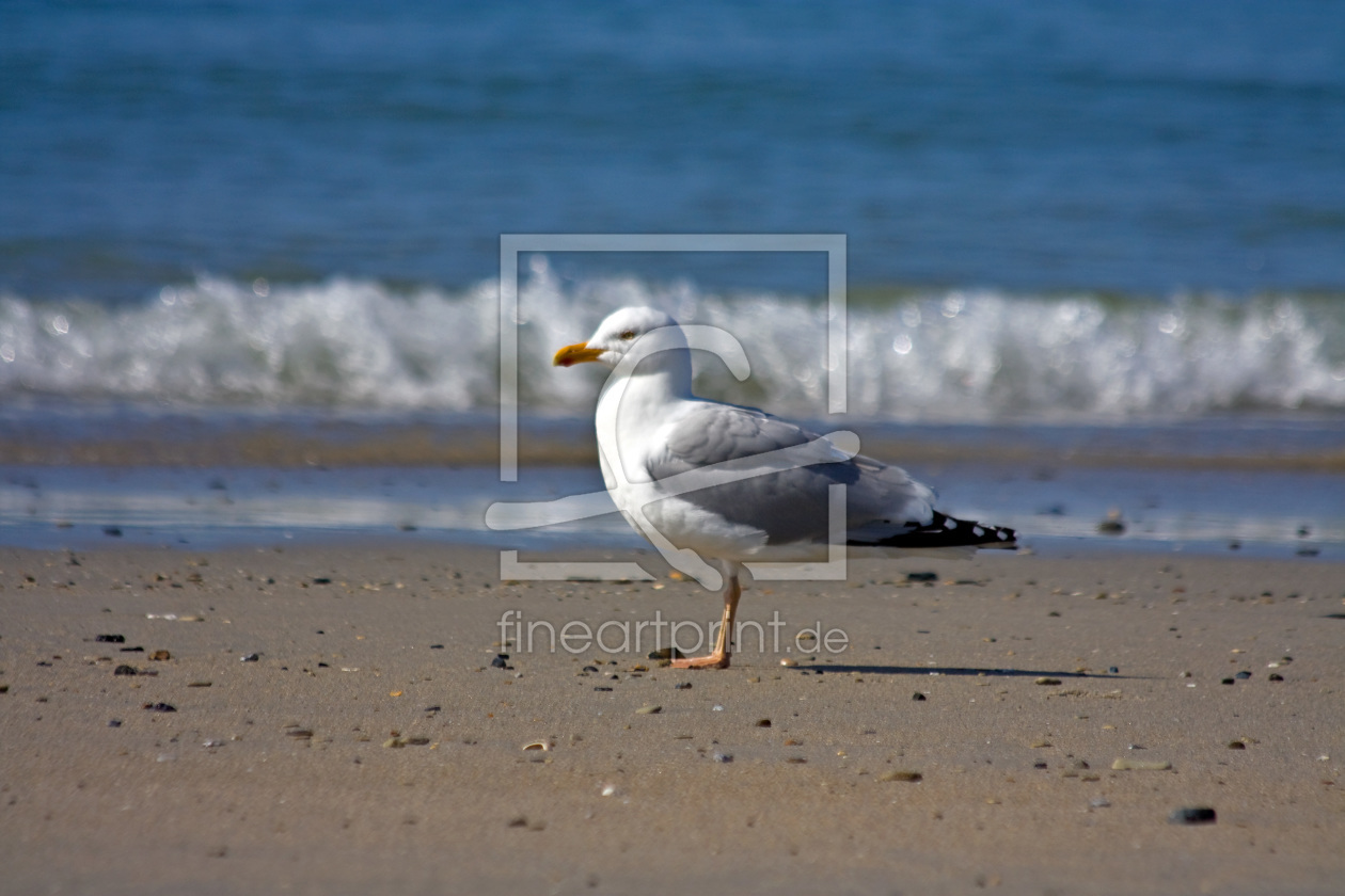 Bild-Nr.: 10148072 Strandschöne erstellt von Stephanie Stephanie Dannecker