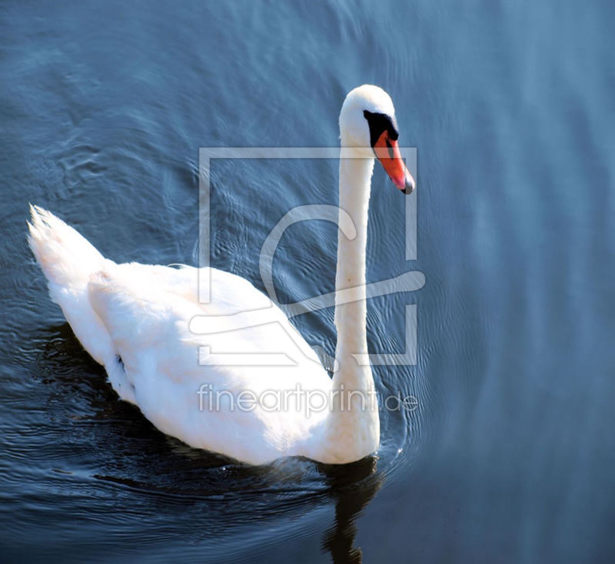 Bild-Nr.: 10149790 The Swan/Der Schwan erstellt von wodan7