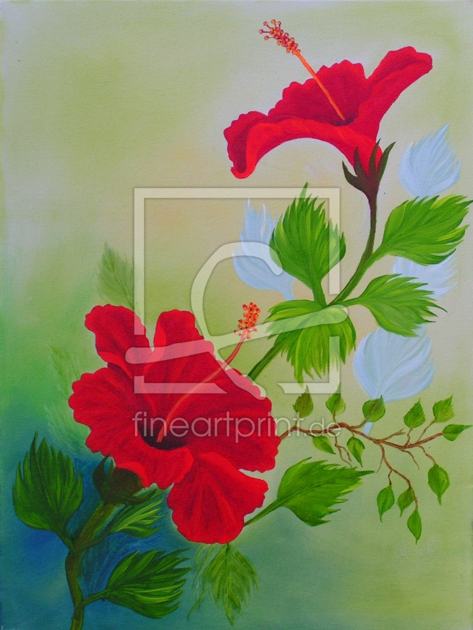 Bild-Nr.: 10151808 Roter Hibiskus Bild-Nr.: 10151808 Roter Hibiskus erstellt von xxxxfantasiaxxxx